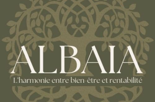 Albaia conseil un cabinet de conseil aux entreprises pas comme les autres